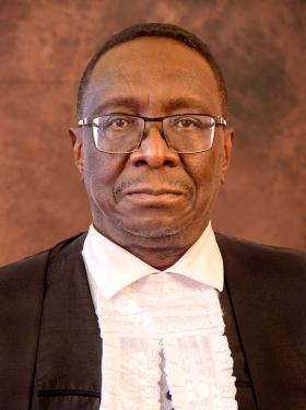 Deputy Chief Justice D Mlambo