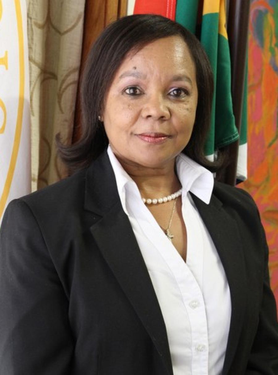 Acting Judge President LP Goliath