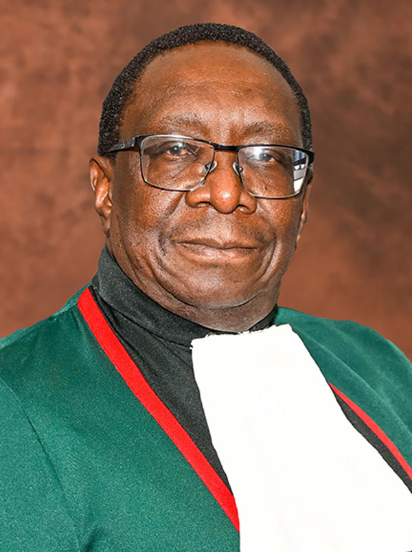DCJ Madlanga